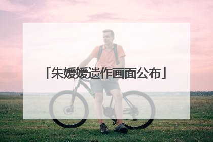 朱媛媛遗作画面公布