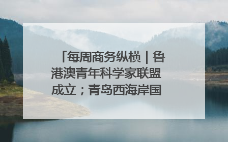 每周商务纵横｜鲁港澳青年科学家联盟成立；青岛西海岸国际能源自贸港启用