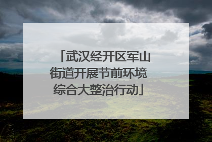 武汉经开区军山街道开展节前环境综合大整治行动