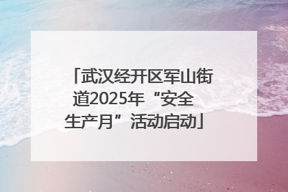 武汉经开区军山街道2025年“安全生产月”活动启动