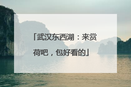武汉东西湖：来赏荷吧，包好看的