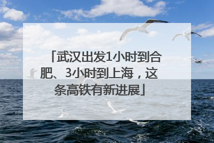 武汉出发1小时到合肥、3小时到上海，这条高铁有新进展