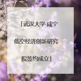 武汉大学·咸宁低空经济创新研究院签约成立