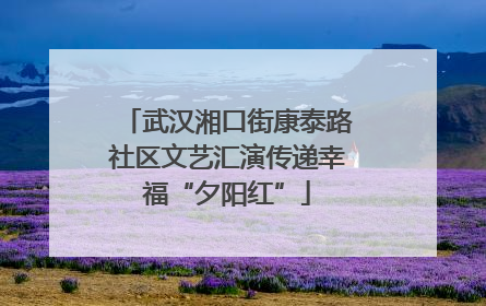 武汉湘口街康泰路社区文艺汇演传递幸福“夕阳红”