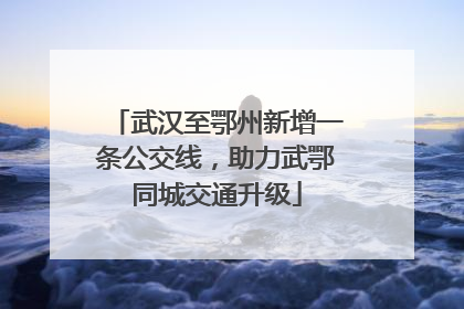 武汉至鄂州新增一条公交线，助力武鄂同城交通升级