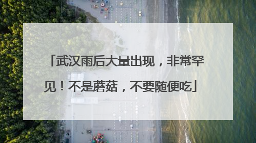 武汉雨后大量出现，非常罕见！不是蘑菇，不要随便吃