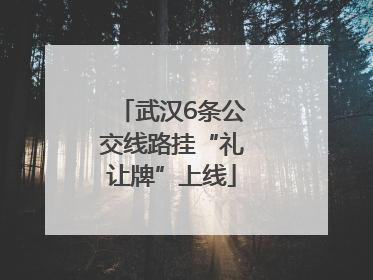 武汉6条公交线路挂“礼让牌”上线