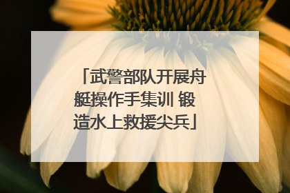 武警部队开展舟艇操作手集训 锻造水上救援尖兵