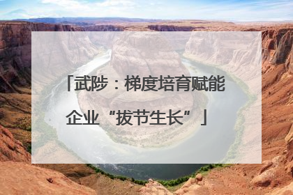武陟：梯度培育赋能企业“拔节生长”