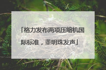 格力发布两项压缩机国际标准，董明珠发声