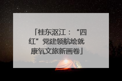 桂东沤江：“四红”党建领航绘就康氧文旅新画卷