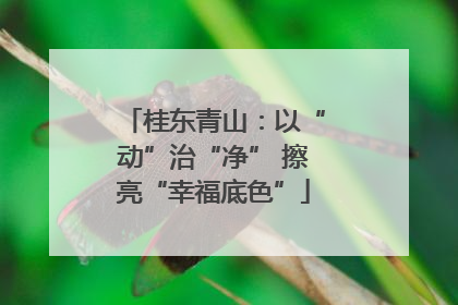 桂东青山：以“动”治“净” 擦亮“幸福底色”