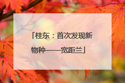 桂东：首次发现新物种——宽距兰