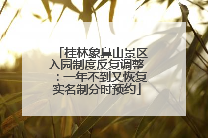 桂林象鼻山景区入园制度反复调整：一年不到又恢复实名制分时预约