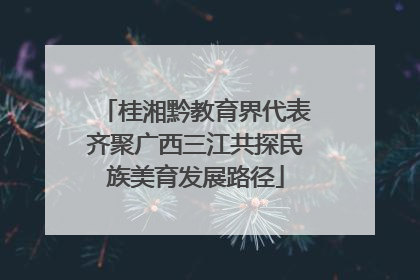 桂湘黔教育界代表齐聚广西三江共探民族美育发展路径