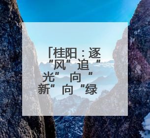 桂阳：逐“风”追“光” 向“新”向“绿”发展