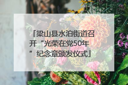 梁山县水泊街道召开“光荣在党50年”纪念章颁发仪式