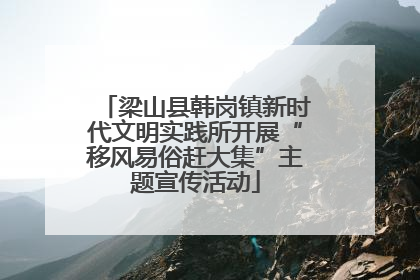 梁山县韩岗镇新时代文明实践所开展“移风易俗赶大集”主题宣传活动