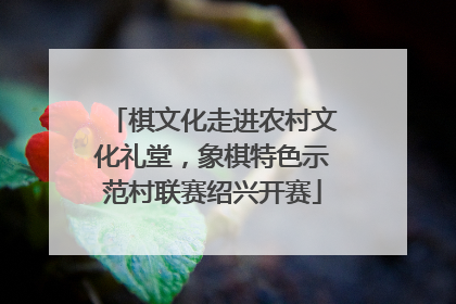 棋文化走进农村文化礼堂，象棋特色示范村联赛绍兴开赛