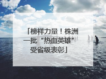 榜样力量！株洲一批“热血英雄”受省级表彰