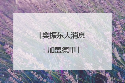 樊振东大消息：加盟德甲