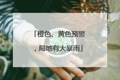 橙色、黄色预警，局地有大暴雨