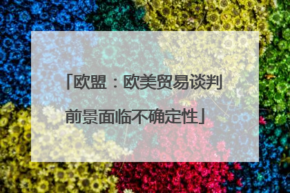 欧盟：欧美贸易谈判前景面临不确定性