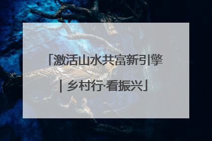 激活山水共富新引擎｜乡村行·看振兴