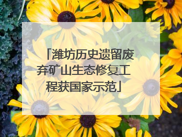 潍坊历史遗留废弃矿山生态修复工程获国家示范