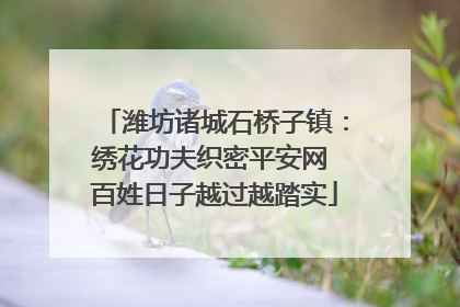 潍坊诸城石桥子镇：绣花功夫织密平安网 百姓日子越过越踏实
