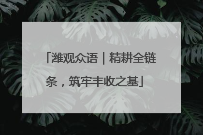 潍观众语｜精耕全链条，筑牢丰收之基