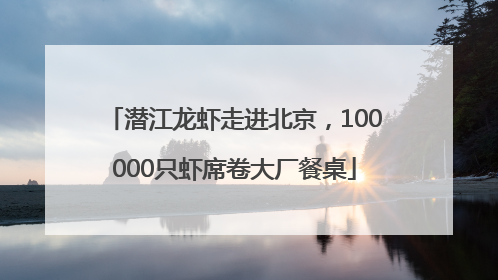潜江龙虾走进北京，100000只虾席卷大厂餐桌