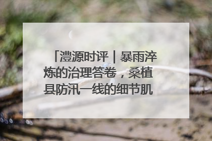澧源时评｜暴雨淬炼的治理答卷，桑植县防汛一线的细节肌理与体系力量