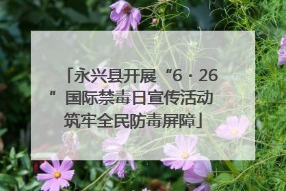 永兴县开展“6・26”国际禁毒日宣传活动 筑牢全民防毒屏障