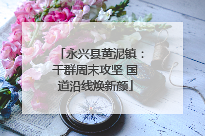 永兴县黄泥镇：干群周末攻坚 国道沿线焕新颜