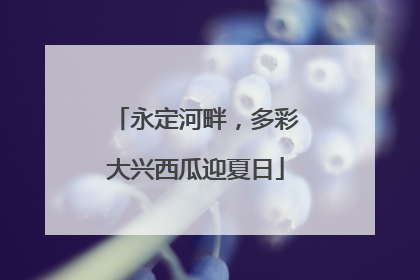 永定河畔，多彩大兴西瓜迎夏日
