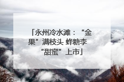 永州冷水滩：“金果”满枝头 蜂糖李“甜蜜”上市