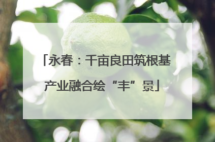 永春：千亩良田筑根基 产业融合绘“丰”景