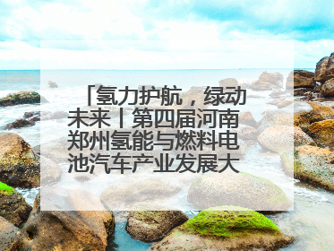 氢力护航，绿动未来丨第四届河南郑州氢能与燃料电池汽车产业发展大会启幕