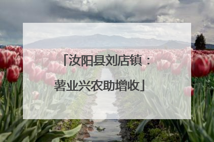 汝阳县刘店镇：薯业兴农助增收