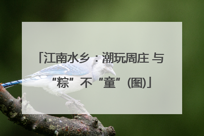 江南水乡：潮玩周庄 与“粽”不“童”(图)