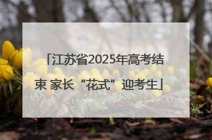 江苏省2025年高考结束 家长“花式”迎考生