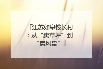 江苏如皋钱长村：从“卖草坪”到“卖风景”