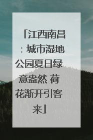 江西南昌：城市湿地公园夏日绿意盎然 荷花渐开引客来