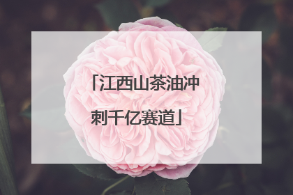 江西山茶油冲刺千亿赛道