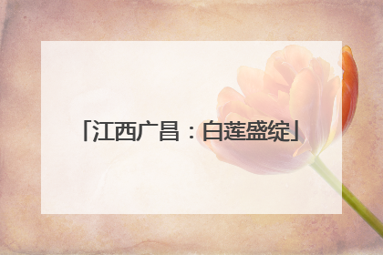江西广昌：白莲盛绽