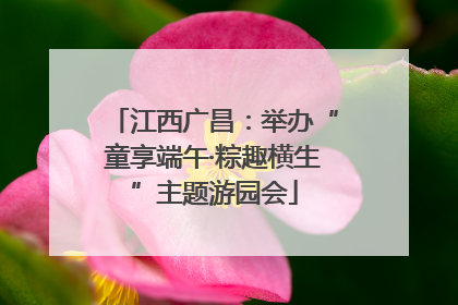江西广昌：举办“童享端午·粽趣横生”主题游园会