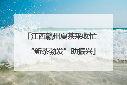 江西赣州夏茶采收忙 “新茶勃发”助振兴