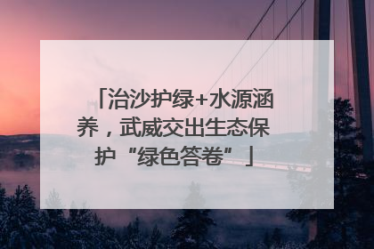 治沙护绿+水源涵养，武威交出生态保护“绿色答卷”