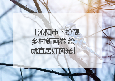 沁阳市：扮靓乡村新画卷 绘就宜居好风光